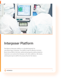 interposer-platform